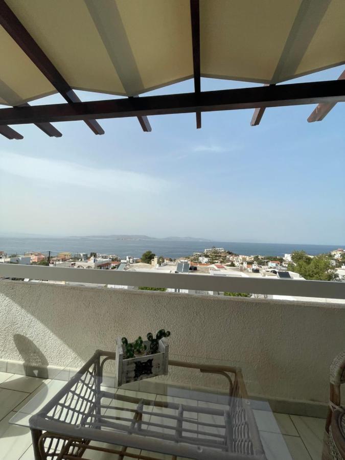 180° View To Sea Villa Vathi  Exterior photo